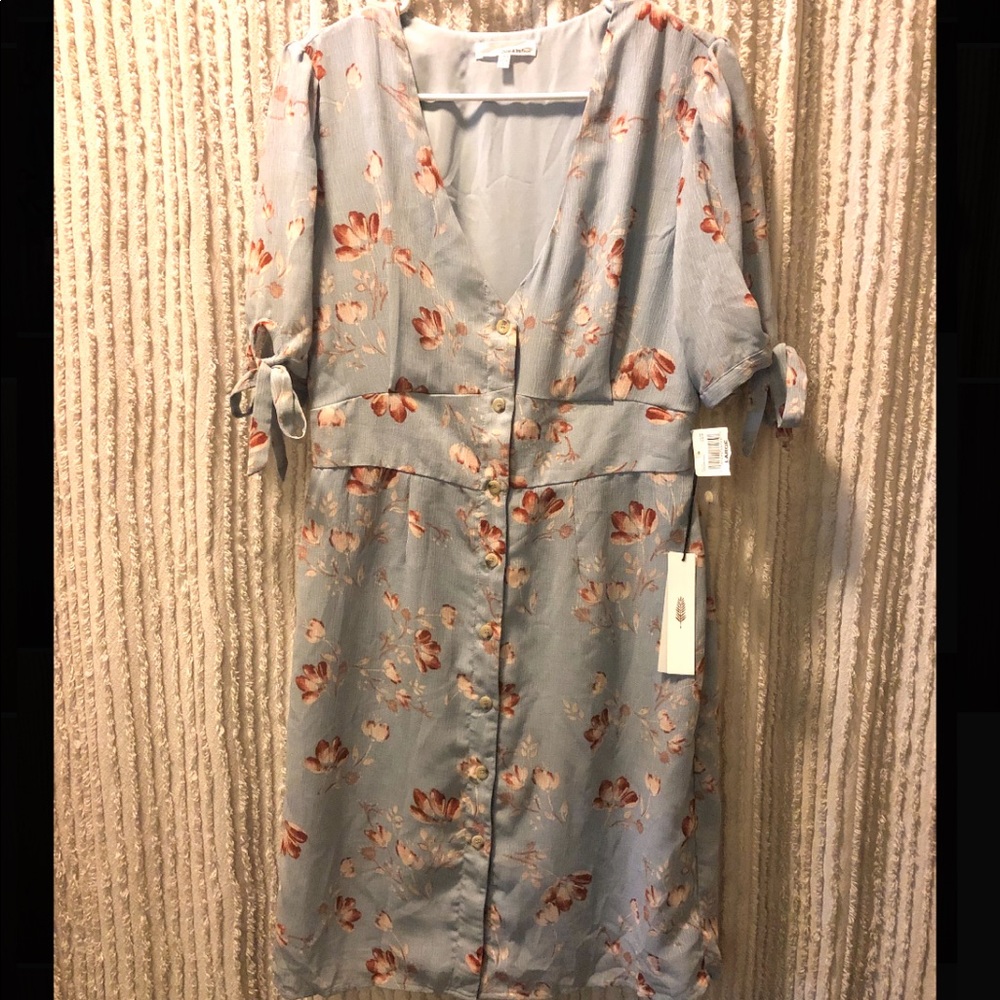 NWT June & Hudson Floral Dress